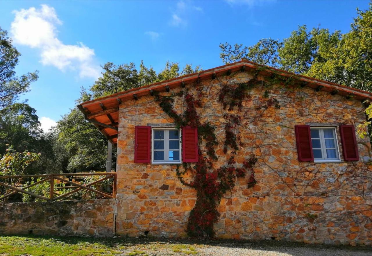 Il Daino Bianco Country Hotel Manciano Luaran gambar