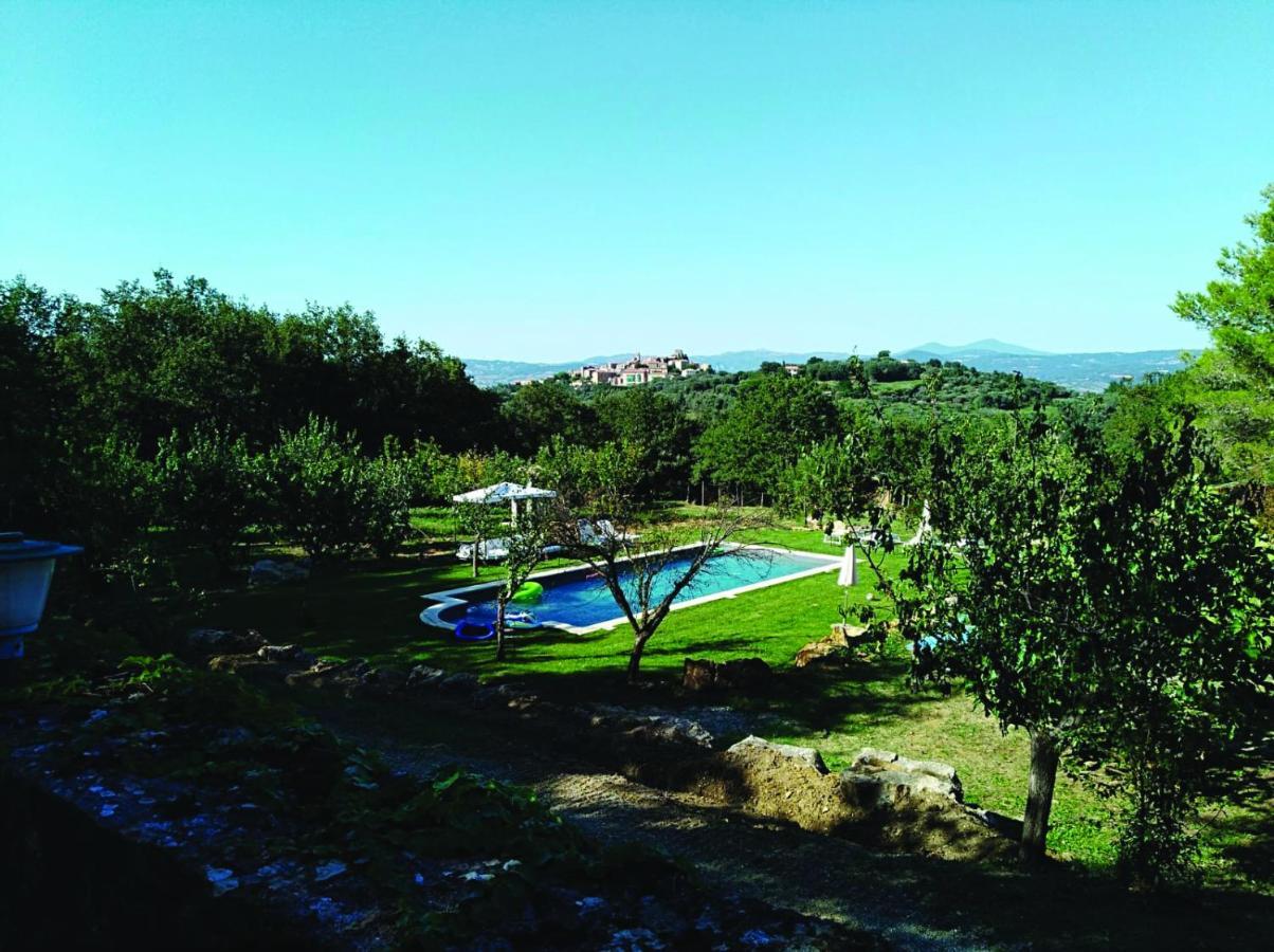 Il Daino Bianco Country Hotel Manciano Luaran gambar